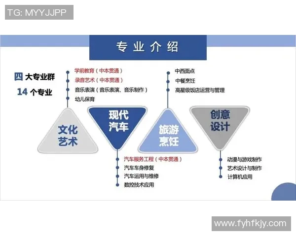 南京排球队运营革新探索：从传统到现代的转型之路与发展策略
