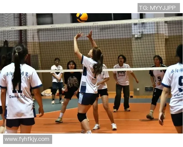 广州排球队的崛起与发展探秘：力量与激情的完美结合